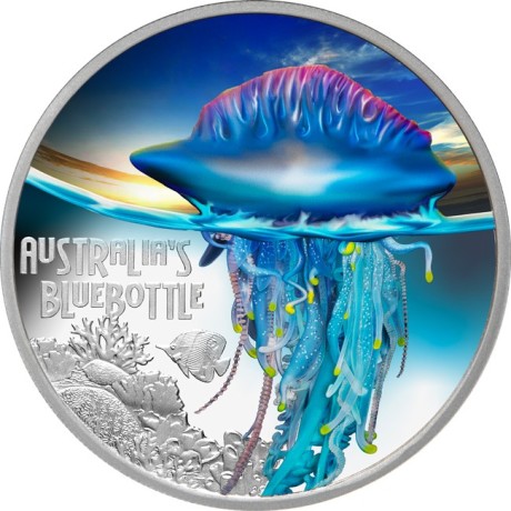 Bluebottle - Pièce de collection de 1 oz en argent à l'épreuve