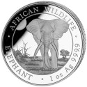 Eléphant d'Afrique (2025) - 1 Oz - Pièce d'investissement en argent