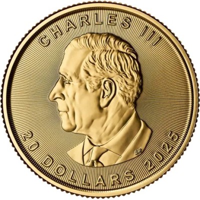 Feuille d'érable (2025) - 1/2 Oz - Pièce en or
