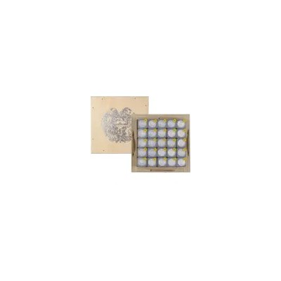 Arche de Noé (2025) - 1/4 Oz - pièce d'investissement en argent
