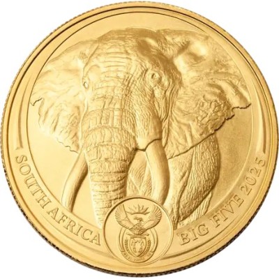 Big Five Elephant (2025) - 1 Oz - pièce d'investissement en or