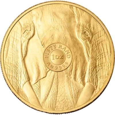 Big Five Elephant (2025) - 1 Oz - pièce d'investissement en or