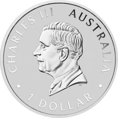Koala (2025) - 1 Oz - Pièce d'investissement en argent