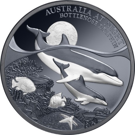 Grand dauphin - 1 Oz - Pièce de collection en argent