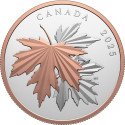Feuilles d'érable étincelantes - 10 Oz - Pièce de collection en argent