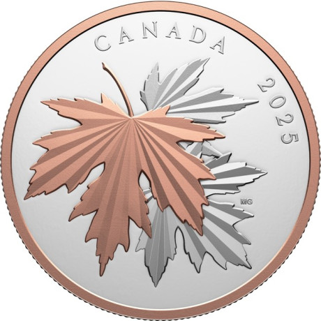 Feuilles d'érable étincelantes - 10 Oz - Pièce de collection en argent (livraison à partir de 12.6.2025)