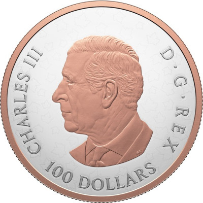 Feuilles d'érable étincelantes - 10 Oz - Pièce de collection en argent (livraison à partir de 12.6.2025)