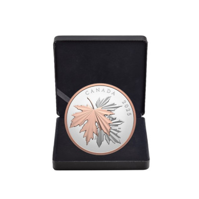 Feuilles d'érable étincelantes - 10 Oz - Pièce de collection en argent (livraison à partir de 12.6.2025)