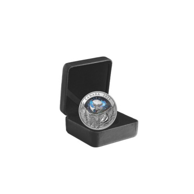Moon Sky : Corbeau- 1 Oz - Pièce de collection en argent (en stock à partir du  28.6.2025)