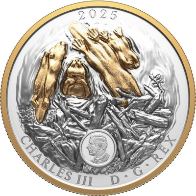 The Beaver (2025) - 100g - pièce de collection en argent (livraison 24.9.2025)