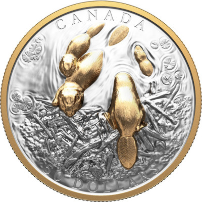 The Beaver (2025) - 100g - pièce de collection en argent (livraison 24.9.2025)