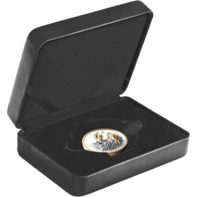 The Beaver (2025) - 100g - pièce de collection en argent (livraison 24.9.2025)