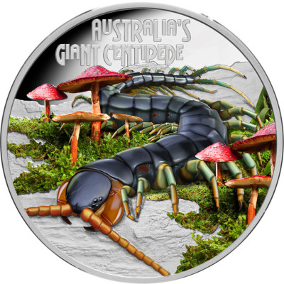 Mille-pattes géant (2026) - Pièce de collection de 1 oz en argent qualité proof