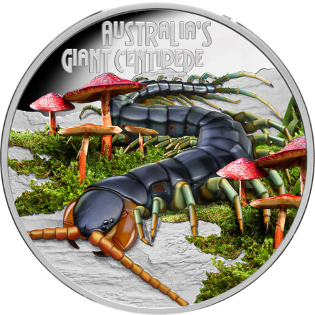Mille-pattes géant (2026) - Pièce de collection de 1 oz en argent qualité proof