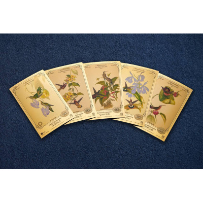 La collection John et Elizabeth Gould - Colibris