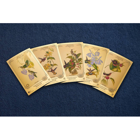 La collection John et Elizabeth Gould - Colibris