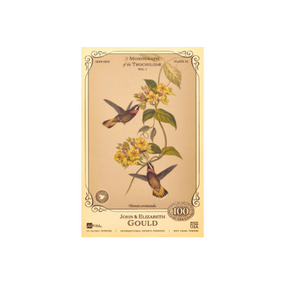 La collection John et Elizabeth Gould - Colibris