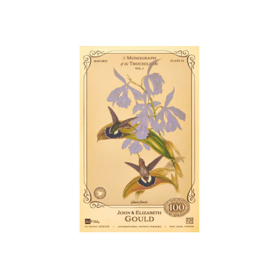 La collection John et Elizabeth Gould - Colibris