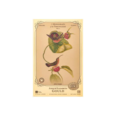 La collection John et Elizabeth Gould - Colibris
