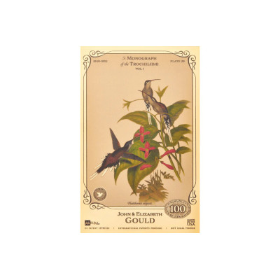 La collection John et Elizabeth Gould - Colibris