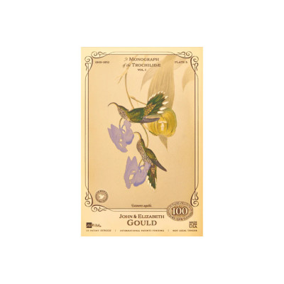 La collection John et Elizabeth Gould - Colibris