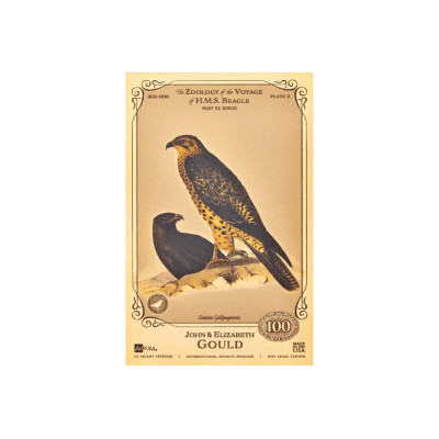 L'Aurum de John et Elizabeth Gould - Collection H.M.S. Beagle