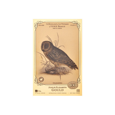 L'Aurum de John et Elizabeth Gould - Collection H.M.S. Beagle