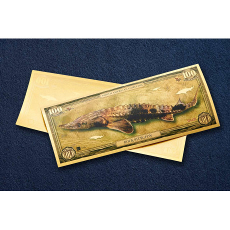 Esturgeon noir - Billets en or 24k - Série I