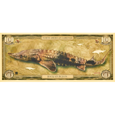 Esturgeon noir - Billets en or 24k - Série I