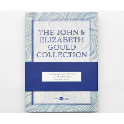 L'Aurum de John et Elizabeth Gould - Collection H.M.S. Beagle